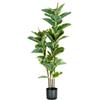 Pianta di ficus elastica in polietilene con 54 foglie, 145 cm