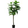 Pianta di ficus lyrata in polietilene con 60 foglie, 130 cm