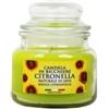 Giara piccola in vetro capri con candela alla citronella