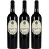 VESTINI CAMPAGNANO VINO VESTINI CAMPAGNANO PALLAGRELLO NERO 2022 3 BOTTIGLIE
