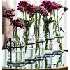 Le'raze 5 vasi da fiori in vetro con supporto in metallo, migliori vasi per fiori, set per decorazione domestica, decorazioni per matrimoni, decorazione da tavolo, cucina, bagno, camera da letto, decorazione