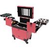 WOLEGM - Valigetta cosmetica trolley, multivaligetta con specchio e rotelle, serratura grande valigetta per truccatori, parrucchieri, chiisti e cosmetici, ecc, Rosa, 37*24.3*101cm/14.57*9.56*39.76in,