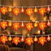 KATELUO Catena Foglie di Acero Luci, 3 Metri 20 LED Autunnali Lucine a Batteria, Ghirlanda Luminosa con Foglie, Zucca, Luci LED Halloween Ghirlanda Luminose LED per Halloween, Ringraziamento, Natale