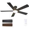 Passky Ventilatore da Soffitto con Luce LED Telecomando (Nero, 132 cm) | 5 Pale Doppia Faccia Silenzioso Motore DC Timer 3 Temperature Colore 6 Velocità Reversibile Estate Inverno Int/Ext Casa
