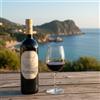 Colle del Corsicano Vino/i COLLE DEL CORSICANO Castellabate Cilento DOC Aglianico Fiano Bianco Rosso