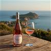 Colle del Corsicano Vino/i COLLE DEL CORSICANO Castellabate Cilento DOC Aglianico Fiano Bianco Rosso