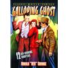 Alpha Video The Galloping Ghost (DVD) Stepin Fetchit Dorothy Gulliver Francis X. Bushman Jr.