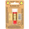 FunCakes Sugarflair Blossom Tint Dusting Red - Colorante Commestibile in Polvere per Decorare Pasta di Gomma, Glassa, Cioccolato, Crema al Burro, Macarons - 7ml