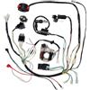 BrylTek Kit elettrico accensione motore completo | Compatibile con la maggior parte di ATV, Quad, scooter, 4 ruote, Buggy, Dirt Bike, Go Kart, Pit Bike, Motowork