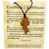 HolyRoses Collana con ciondolo a croce cristiana ortodossa russa bizantina Supperdaneum orientale HJW certificato di origine - realizzata a mano in Terra Santa - souvenir Holyland e simbolo di fede