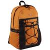 Dickies Ashville Backpack Brown N/A EU