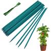 Wtuyyr 25 bastoncini di sostegno per piante di pacchetto - bastoncini di bambù per piante con, piante stakes canne da giardino, fiori pianta floreale (verde, 18 pollici)