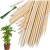 Wtuyyr 25 bastoncini di sostegno per piante di pacchetto - bastoncini di bambù per piante con, piante stakes canne da giardino, fiori pianta floreale (colore bambù, 16 pollici)