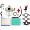 ZJHYGMD 798653 Carburatore per Briggs per Stratton 696981 698860 694508 795069 698859 790180 790290 693865 697354 698474 791991 698810(GRAY)