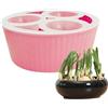 Generic Vaso Idroponico da Interno Contenitore Da Coltivazione Di Giacinto Con 3 | Vaso per Bulbi di Giacinto per Giardinieri Appartamento Ufficio Principianti Interno Davanzale Cucina Soggiorno Came