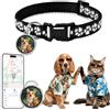 Hcyirfy Collare GPS per Gatti,Collare GPS Gatto Nessun Abbonamento,Tracker Gatto Compatibile con iOS e Android,Localizzatori GPS Cani Posizionamento Globale Impermeabile IP67 Adatto per Gatti/Cani(Nero)