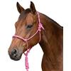 Pferdelinis Cavezza a nodo per cavallo, cavezza da allenamento in corda robusta, regolabile, cavezza per cavalli rosa viola (rosa, pieno sangue (Cob)
