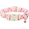 Unique style paws Collare per cani rosa pesca, stile unico, collare per cani in morbido cotone con fibbia in plastica leggera e robusta, collare regolabile per cuccioli di taglia piccola, media e grande