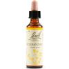 SCHWABE PHARMA ITALIA Schwabe Fiori Di Bach 28 Scleranthus Gocce 20ml