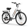 URLIFE E26 Bici Elettrica motore da 250 W 40Nm, Batteria Rimovibile 48V 10.4Ah, Autonomia fino a 100 km, 7 velocità E-bike Per Pendolari Urbani