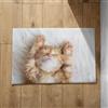 Chenlane Zerbino Interno Lavabile Tappetino Bagno Doccia Grande Gatto Ingresso Home Tappeto Antiscivolo 40x60cm