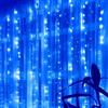 Silamp Ghirlanda LED 220v 3m a tenda 16 pendenti 320 led IP44 luce Blu