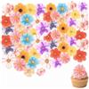 LBQUTN 60 Pezzi Fiori Commestibili per Torte, Decorazioni Torta Edibili in Ostia e Wafer Paper, Fiori Eduli per Decorare Dolci, Cupcake e Torte di Compleanno, Matrimonio e Feste a Tema