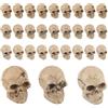 GZGXKJ 30 Pezzi Teschio Halloween Decorazioni Mini Teschio Decorativo 2cm | Resina Scheletro Halloween Decorations, 3 Stili Diversi, Per Decorare Casa Festa Di Halloween, Vaso Di Fiori, Micro Paesaggio