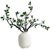 ZOCOYUU Foglie artificiali, rami di ficus, steli di eucalipto artificiali, steli lunghi 84 cm, piante verdi artificiali, albero di ulivo per decorazione della casa, tavoli, vasi, decorazione da