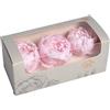 Verde stabilizzato Box 3 Peonie Stabilizzate Rosa Pastello Made in Italy - Box Fiori Stabilizzati Disponibili in Diversi Colori Senza Stelo (3 Peonie, Rosa Pastello)