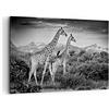 ARTTOR Quadri Moderni su Tela 120x80 cm Stampe da Parete Africa Bianco e Nero 4441 | Giraffe Nero E Quadro Decorativo Grande XXL 1 pezzo Soggiorno Camera da Letto Arte da Parete Decorazione da Parete ARTTOR