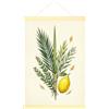 Generic Sukkot Lulav Etrog Botanical - Tela artistica da parete, 40,6 x 61 cm | Illustrazione botanica ad acquerello, decorazione da parete in legno, decorazione per patrimonio religioso