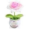 FCZIVA Regali per Papà e Mamma Vaso Girasole Uncinetto Regalo Nonno Zio Festa del Padre Natale Uomo Compleanno Rosa Fatto a Mano Festa della Mamma Donna Ricordo Nonna Madrina Zia Famiglia Amore (Zia)