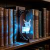QUNZIDRESS Library Lantern Decorative Bookshelf Lighting, Metal Bookend Shelf Insert | Lampada da Comodino a Forma di Gufo con Mensola: supporto per libri in metallo con luce notturna, decorazione per casa