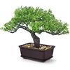 Der Rose Bonsai artificiale da 20,3 cm, piccole piante finte in vaso, per casa, ufficio, scrivania, bagno, mensola decorativa