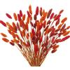CEWUDA 100 Pezzi Mazzi Fiori Secchi Autunnali Erba di Pampas Essiccata | Naturali Fiori Secchi Decorativi Bouquet Fiori Essiccati per Interno Home Matrimoni Feste Boho Decor
