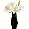 ORIZZONTE ITALIA Vaso Decorativo Moderno con Curve Geometriche Fluide, Vasi per Fiori Freschi/Secchi, Piante, Ideale per Arredo Casa/Studio/Ufficio, Centrotavola,Oggetti/complementi d'arredo (Nero)