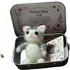 Generic Pocket Hug - Set regalo con mini gattino in peluche | Messaggio ispiratore, gettone ricordo, cuscino floreale incluso, ornamento da scrivania, tascabile
