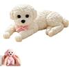 Generic Antistress Cane Teddy Simulazione TPR Morbido 300g Decorazione Scrivania，C | Cane Teddy simulazione realistico, TPR morbido stretch, 4 colori, 300g, decorazione scrivania e idea regalo