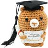 OKINAYO Orsacchiotto di Peluche con Cappello da Dottore e Diploma | Mini Orsetto Lavorato a Maglia, Regalo per Esami, Bambola di Lana Lavorata a Maglia, Portafortuna per Laurea, Laurea