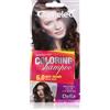Delia Cosmetics Cameleo Coloring Shampoo 40 ml