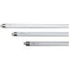 EDM TUBO FLUORESCENTE 35W LUCE 6500K T-5