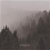 An Autumn for Crippled Children Withered Dreams: Singles 2013-2017 (Vinyl LP)