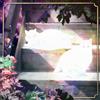 The Scary Jokes Retinal Bloom (Vinyl LP)