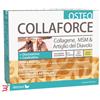 DIETMED ITALIA SRL COLLAFORCE OSTEO 20 BUSTINE
