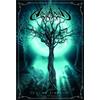 Mvd Visual Asgaard - Lux In Tenebris (DVD) Asgaard