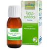 Boiron Fagus Sylvatica Gemme Macerato Glicerico, 60ml