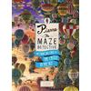 Laurence King Publishing Pierre The Maze Detective: The Curious Case of the Castle in the Sky: 1