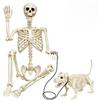 Mineup 3 Pcs Scheletro Halloween,90cm Scheletro a Grandezza Naturale per Halloween | Scheletro Spaventoso Realistico con Cane e Guinzaglio, per Feste di Halloweens e Oggetti di Scena Case Infestate