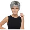XULAIP WWWIG Afro Grigio Riccio Capelli Parrucche Per Nero Donne Corto Argento Kinky Capelli 100% Calore Resistente Fibra Sintetico Parrucca 11 130G